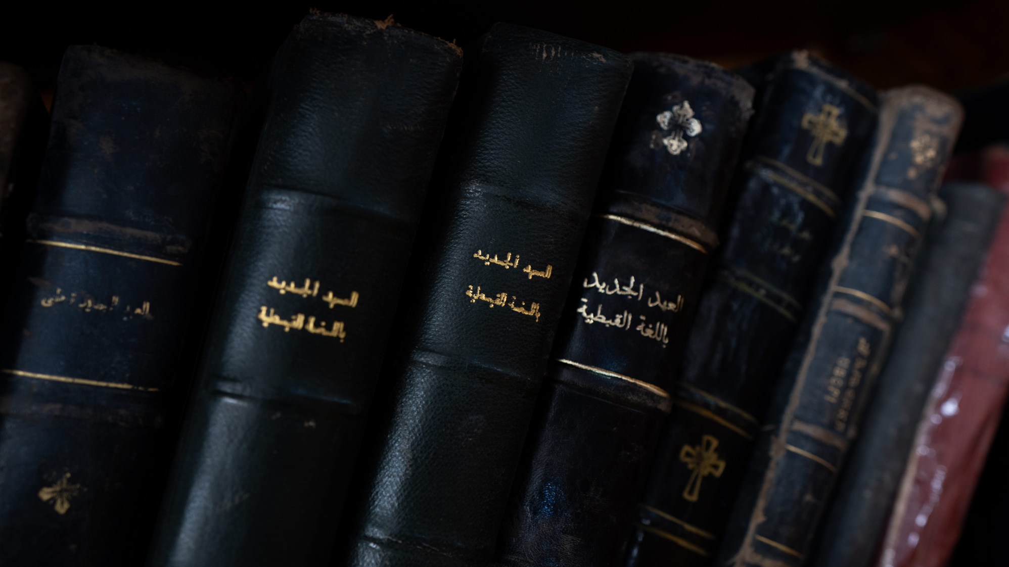صورة 9